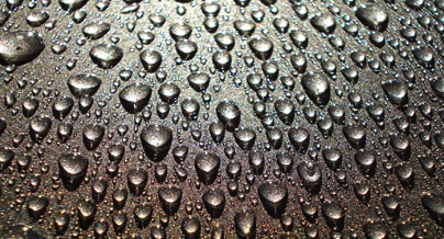 Protection That Lasts!